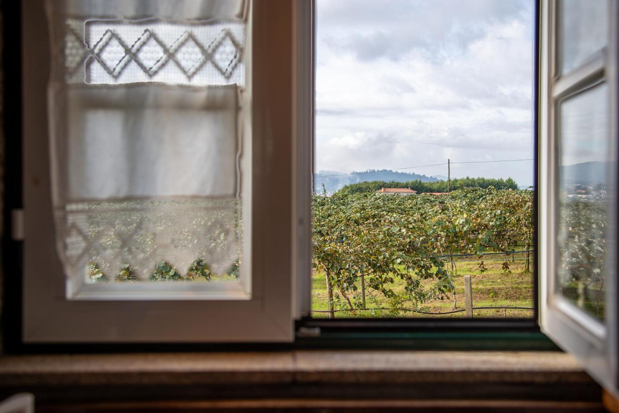 Quinta Do Carvalhal Alojamento, Penafiel Irivo Zewnętrze zdjęcie